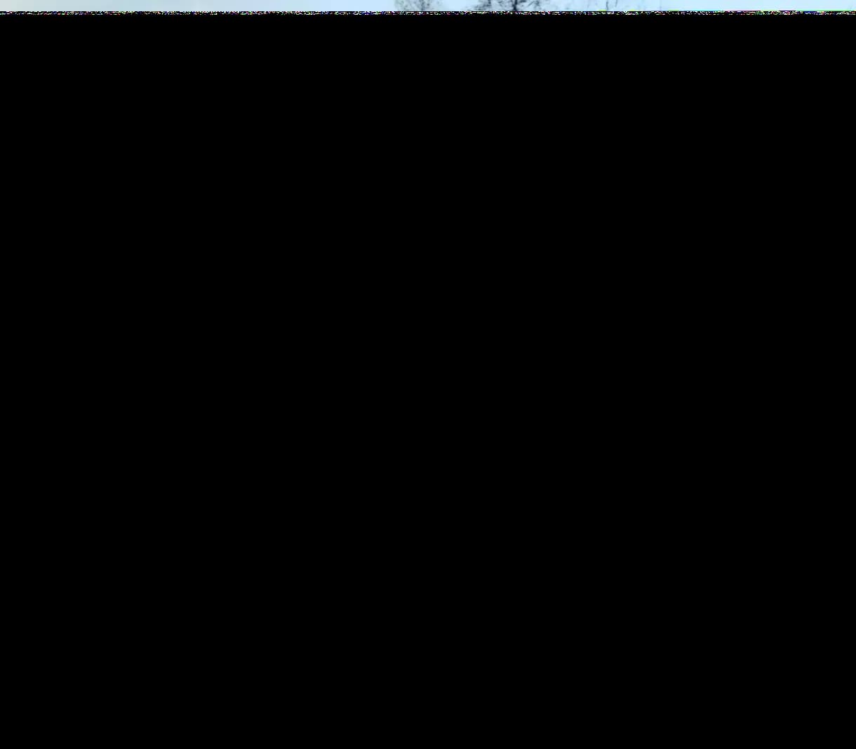 1000016175.png
